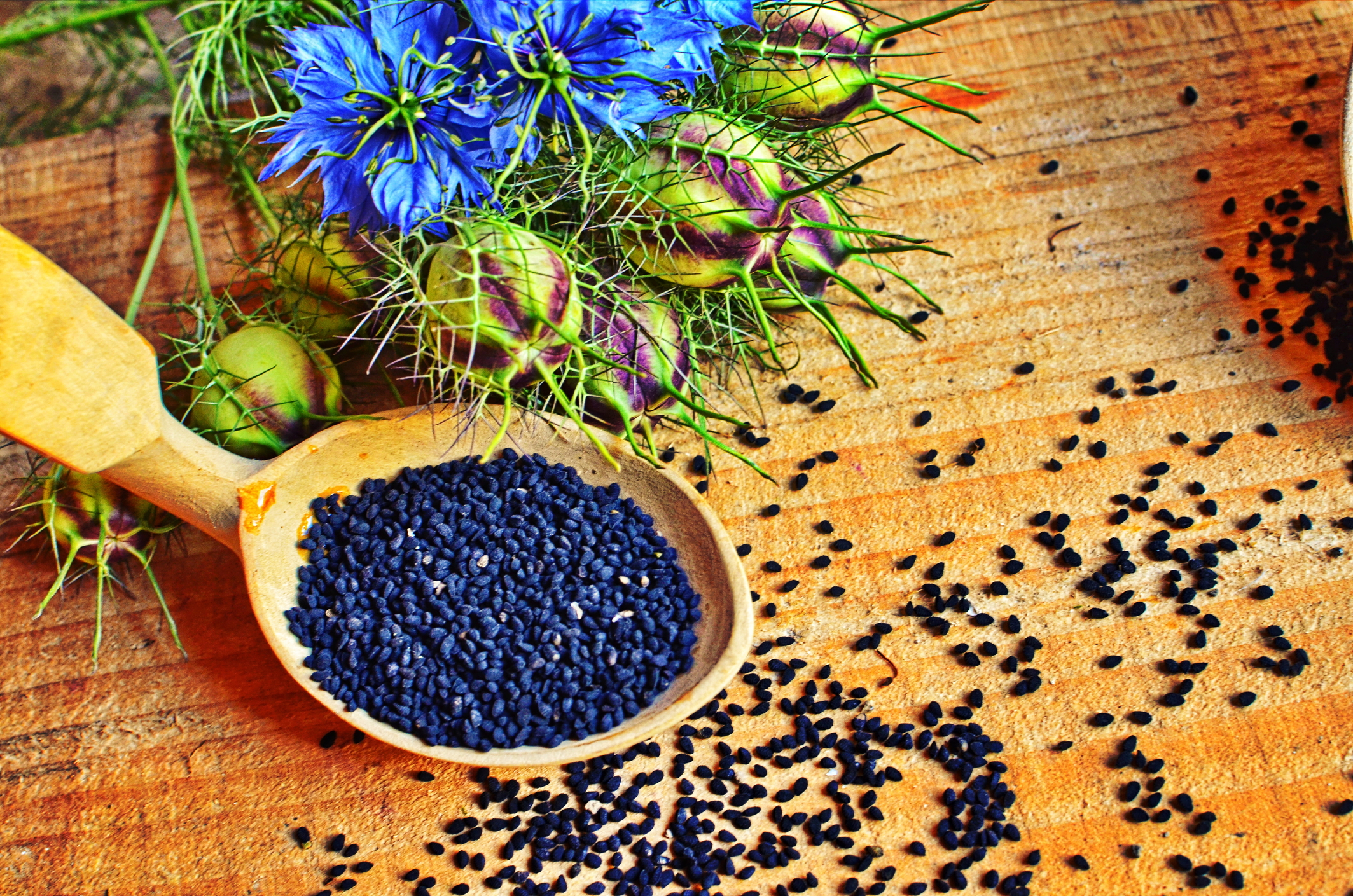 Black Cumin Seed