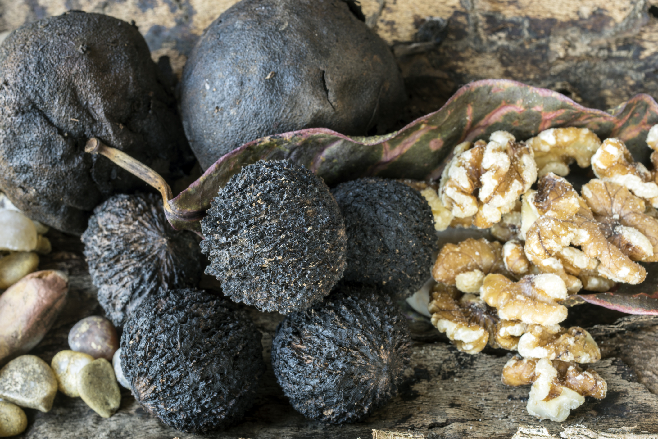 Identifying Antibacterial Compounds in Black Walnuts (Juglans nigra) Using a Metabolomics Approach