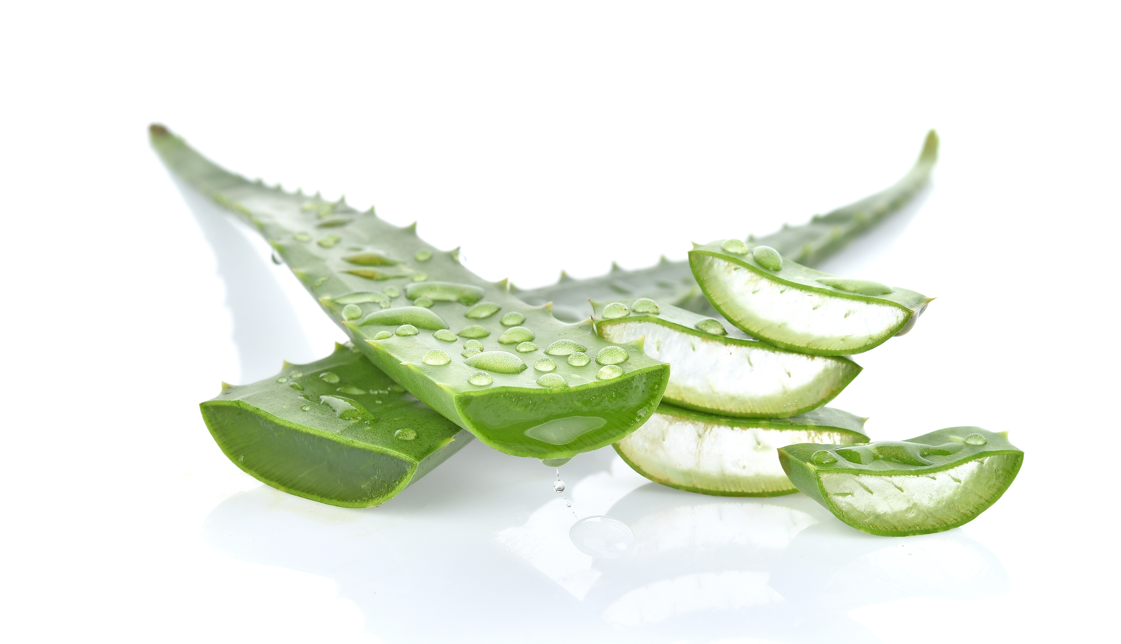 Aloe vera: A review of toxicity and adverse clinical effects