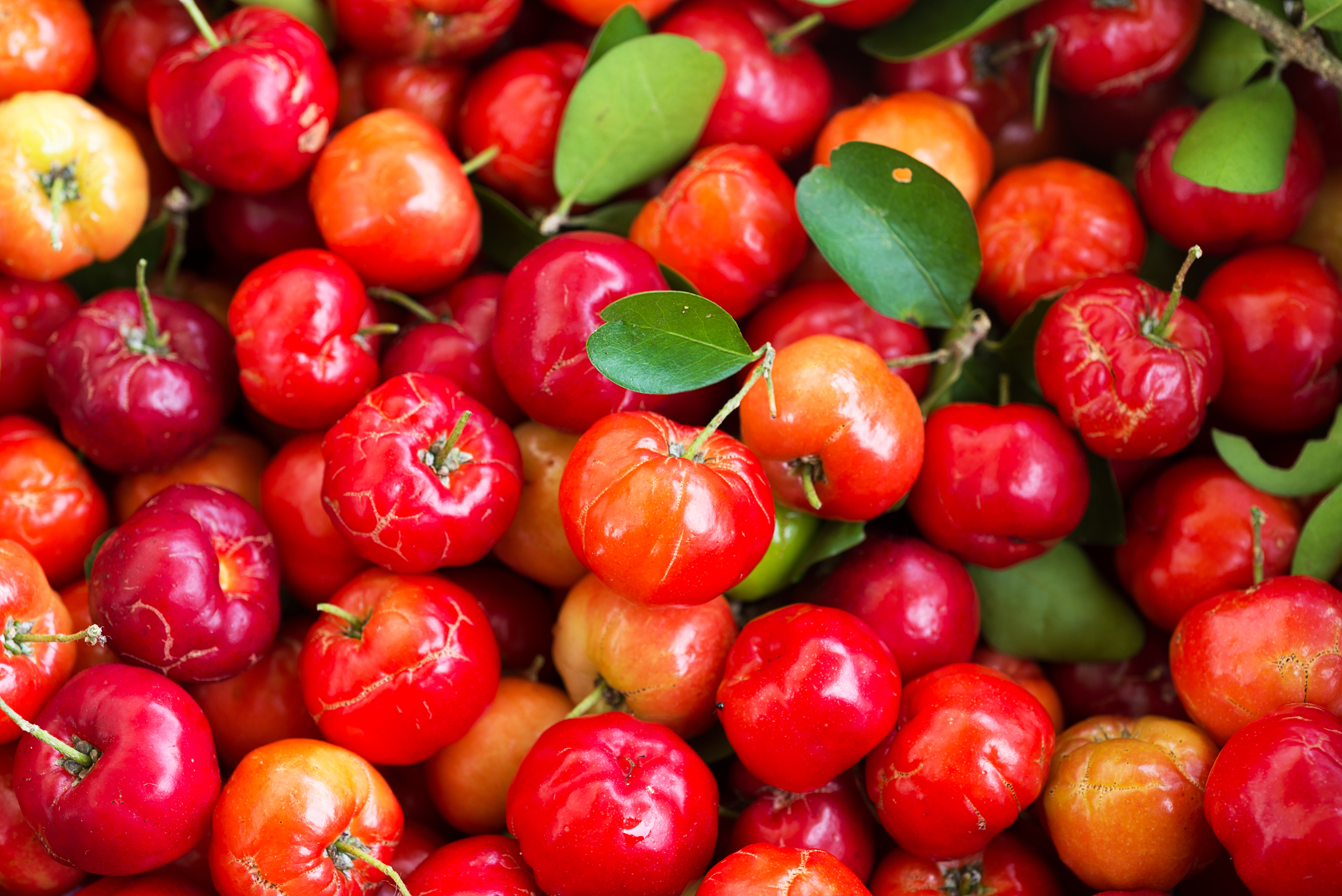 Natural vs. Synthetic Vitamin C: Unraveling the Differences and Making Informed Choices